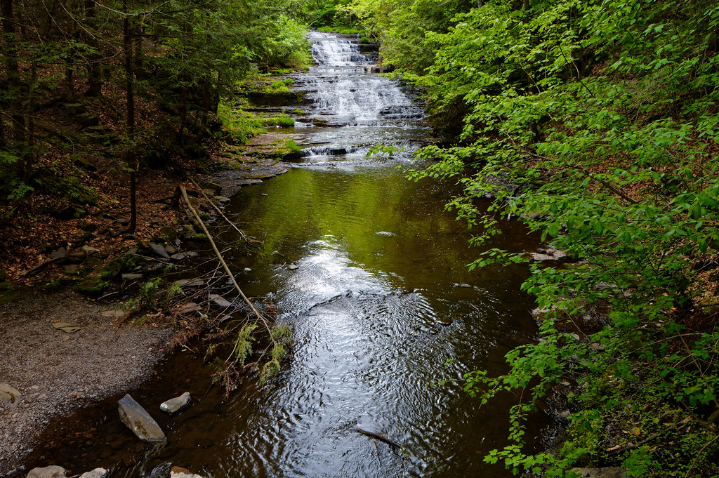 Rensselaer Falls Huyck Preserve, Rensselaerville, New York… Paul