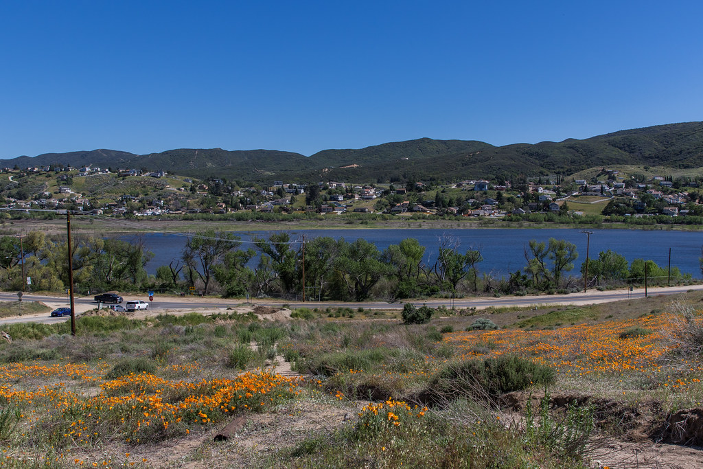 Elizabeth Lake California Poppies Elizabeth Lake, Californ… Flickr