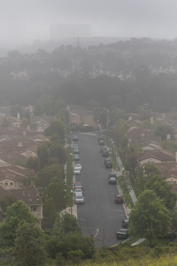 Shady Canyon Shady Canyon Trail Irvine, California Travel Archive