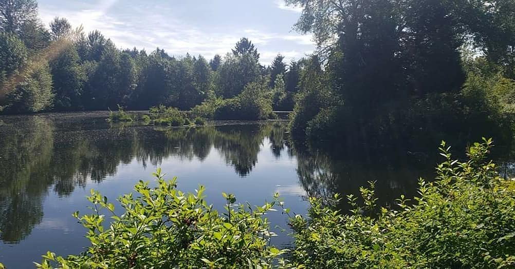 Meadowbrook Pond Seattle Parks and Recreation Flickr
