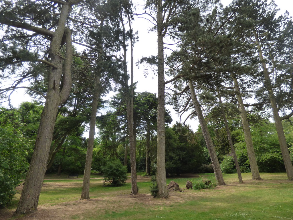 Back to the Warley Woods My second walk around the Warley … Flickr