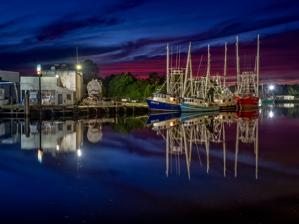 Bayou Nights Bayou La Batre, Alabama Olympus digital camer… Brad
