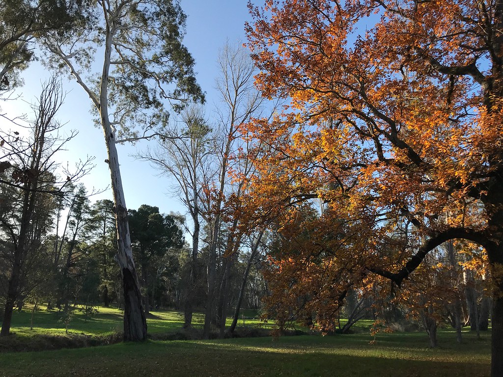Castlemaine Botanical Gardens Leonie Bourke Flickr