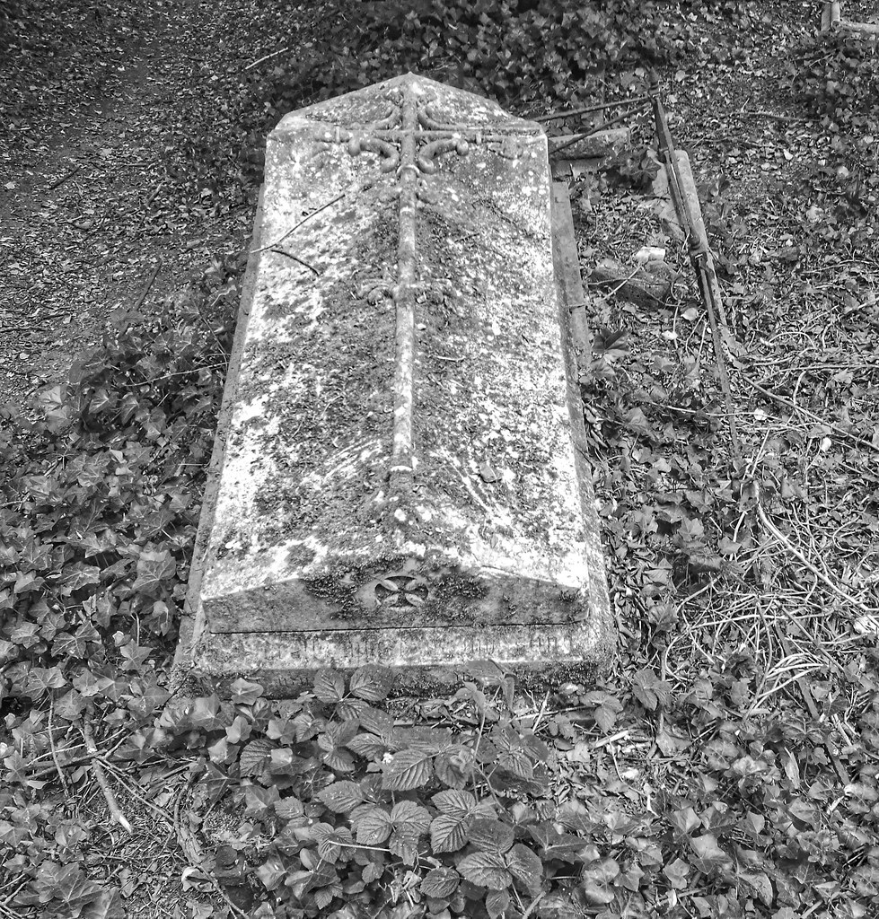 PBWA HarrowOnTheHill Churchyard extension of St Mary's … Flickr