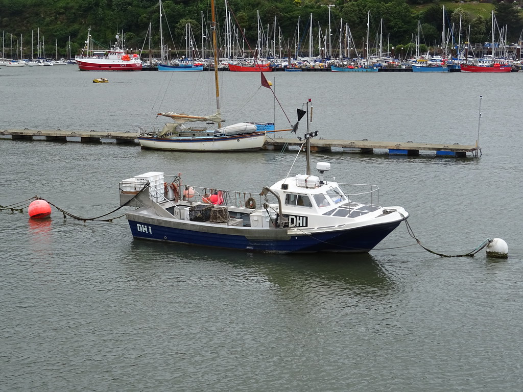 Nicky V (DH1) Dartmouth Names NICKY V, NICKY 5 External m… Flickr