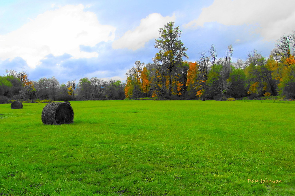 Fall on the farm. Skokomish valley, WA. DSC07479 (1) (1) Flickr