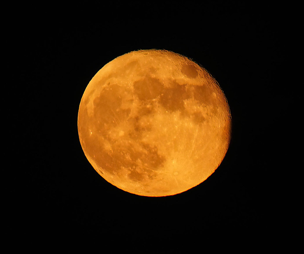 Strawberry Moon This was the actual colour of the moon Bruce Shapka
