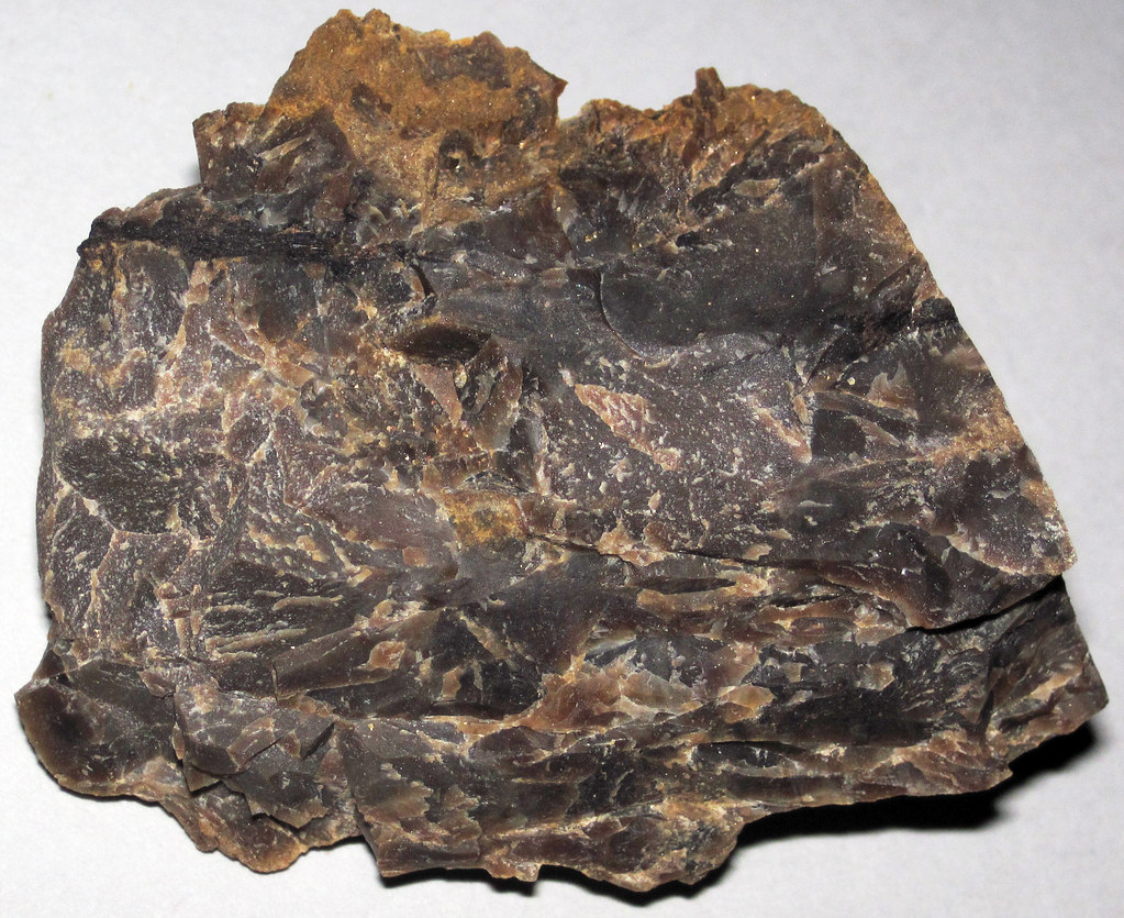 Fishpot Chert (Upper Pennsylvanian; roadcut north of Ramsey, Jefferson