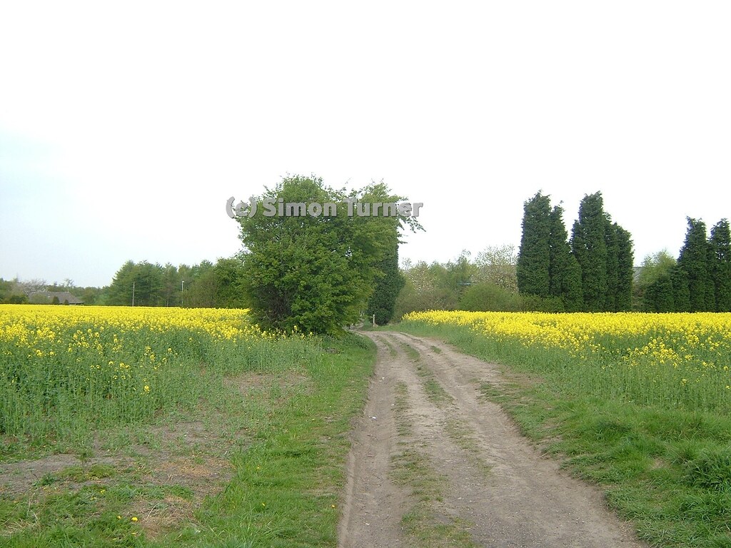 2009 Ardsley station site walk 26042009 Flickr