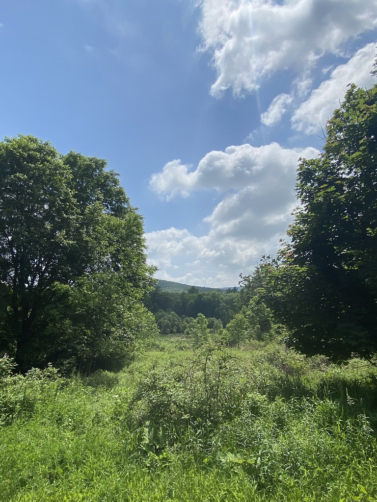 Nescopeck State Park Seen in Nescopeck State Park. www.dcn… Flickr