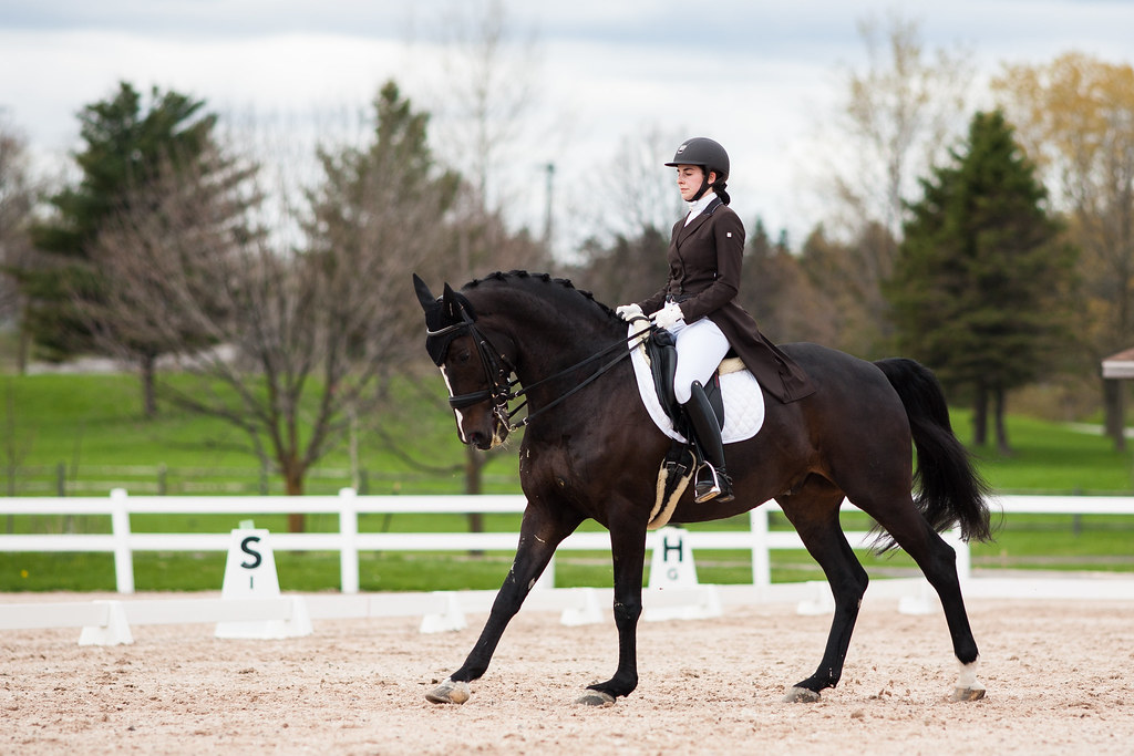 Dressage Ottawa Dressage Festival 2019 kaktuslampan Flickr
