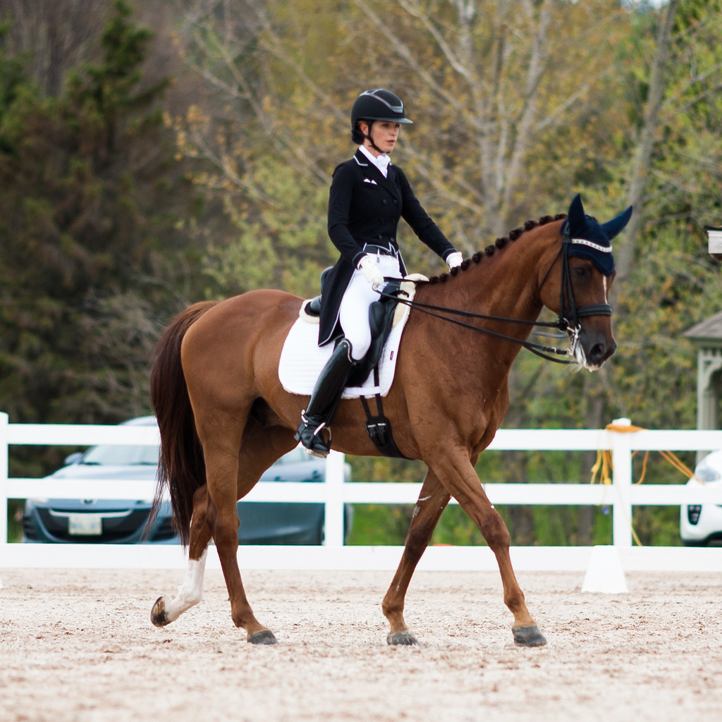 Dressage Ottawa Dressage Festival 2019 kaktuslampan Flickr