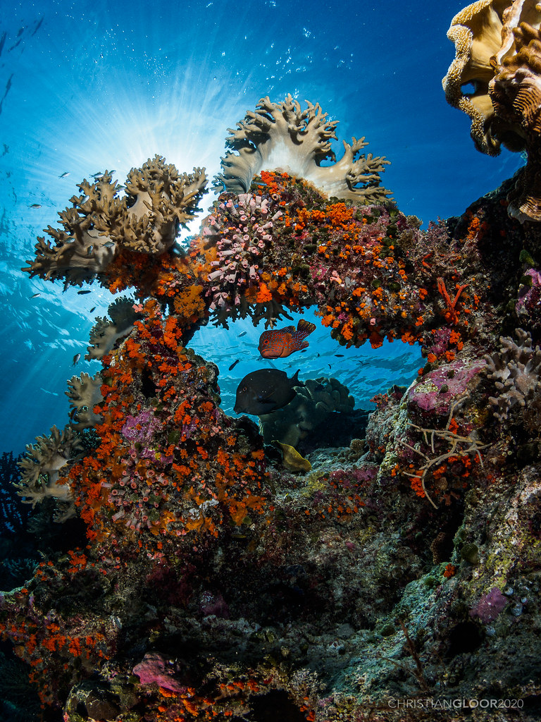 The gate Conditions were exceptional today on the house re… Flickr