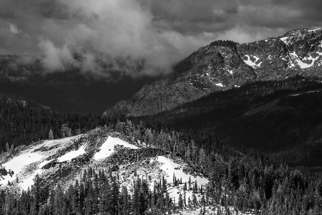 Shady Valley Juniper Monkeys Flickr