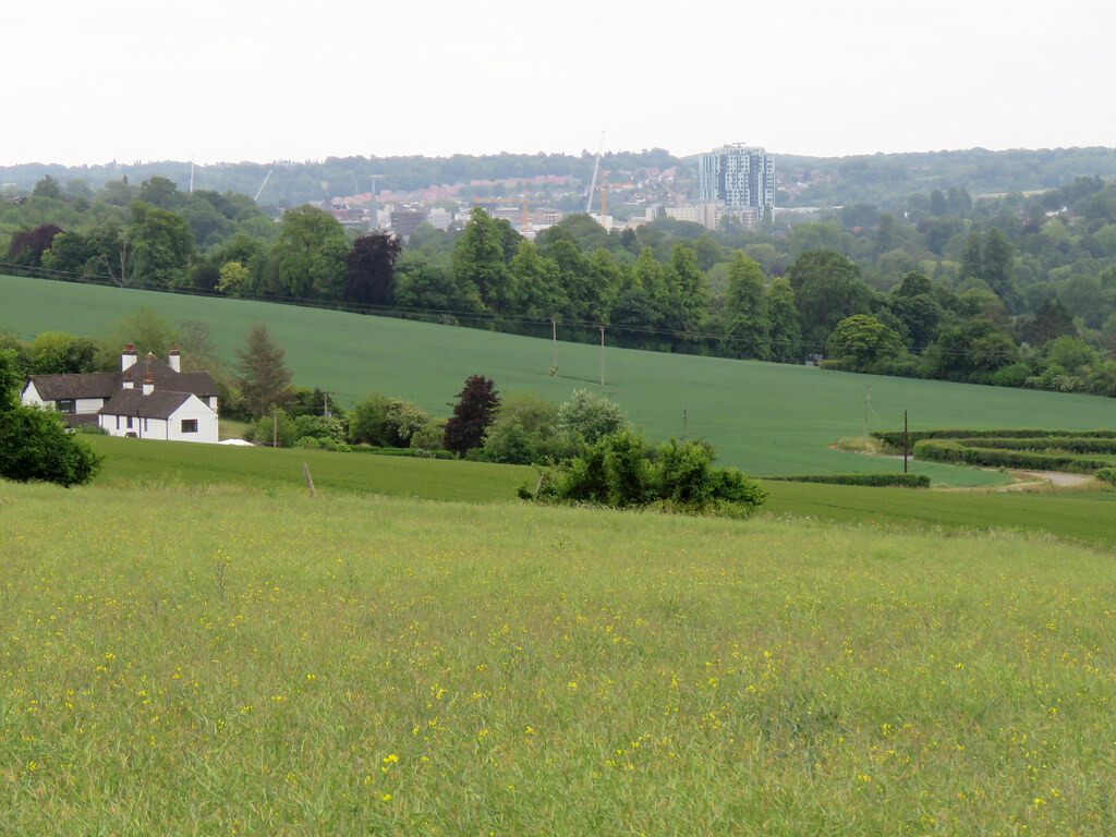 Hemel Hempstead from Wood Farm, June 2020 A lockdown walk … Flickr