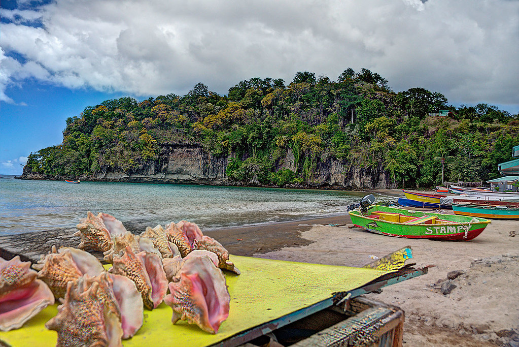Anse la Raye seashells Anse la Raye is a fishing village o… Flickr