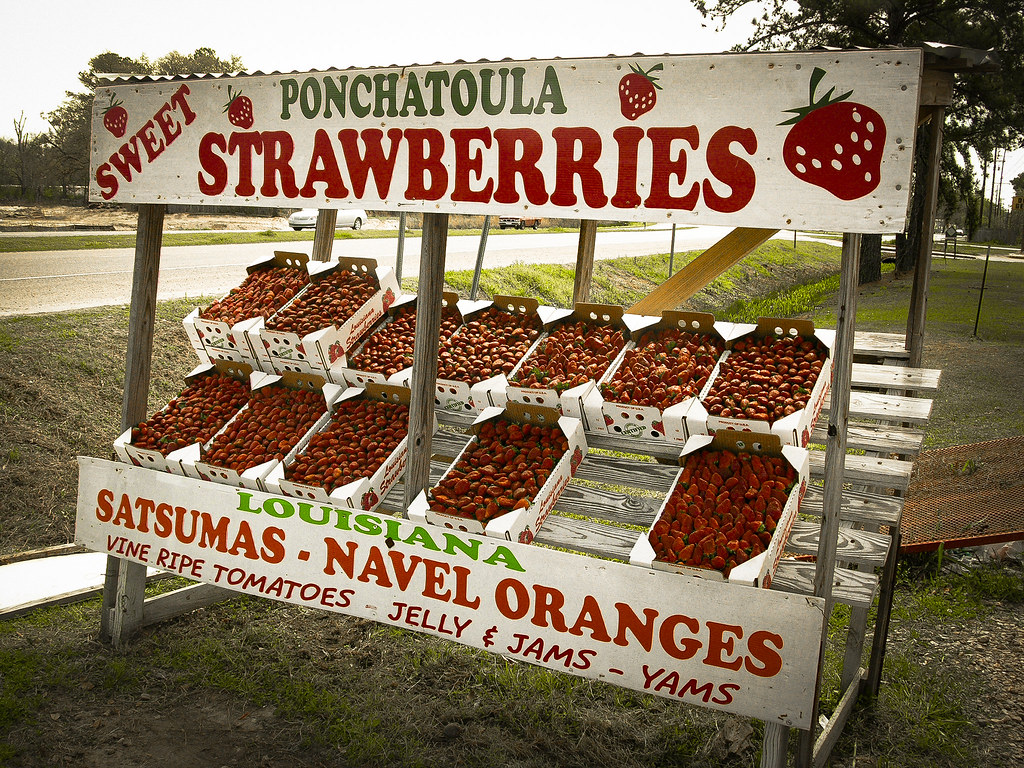 Ponchatoula Strawberries Robert W. Flickr
