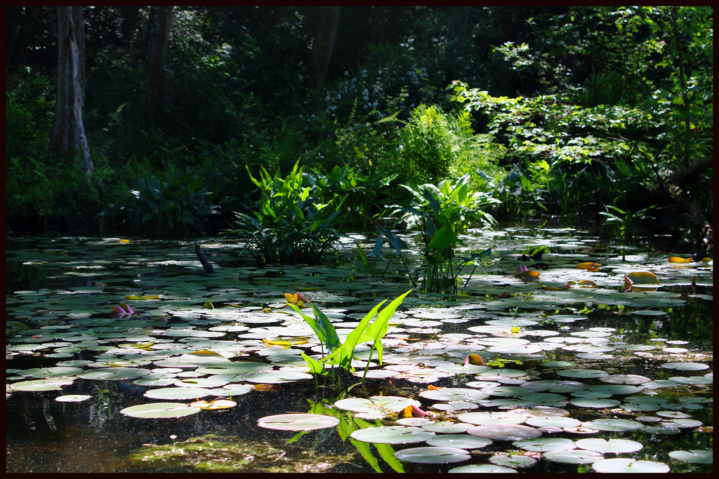 Swartswood Lake Mad Hare Imagery Flickr