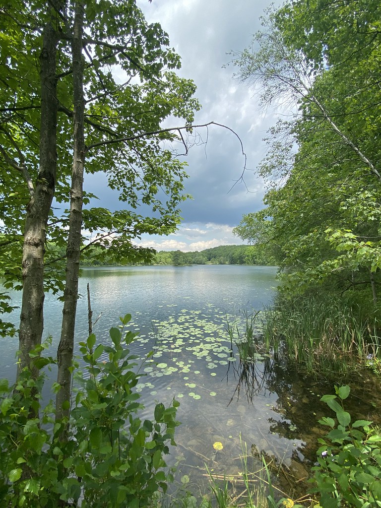 Lake Frances Seen in Nescopeck State Park. www.dcnr.pa.gov… Flickr
