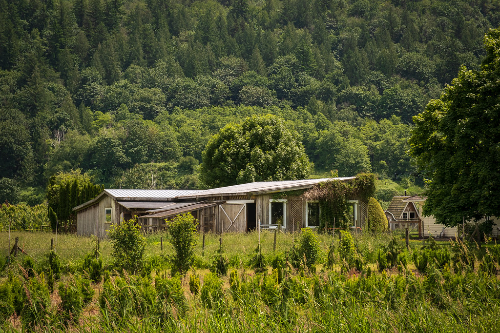 Farms of the Fraser Valley, BC Garry Johns Flickr