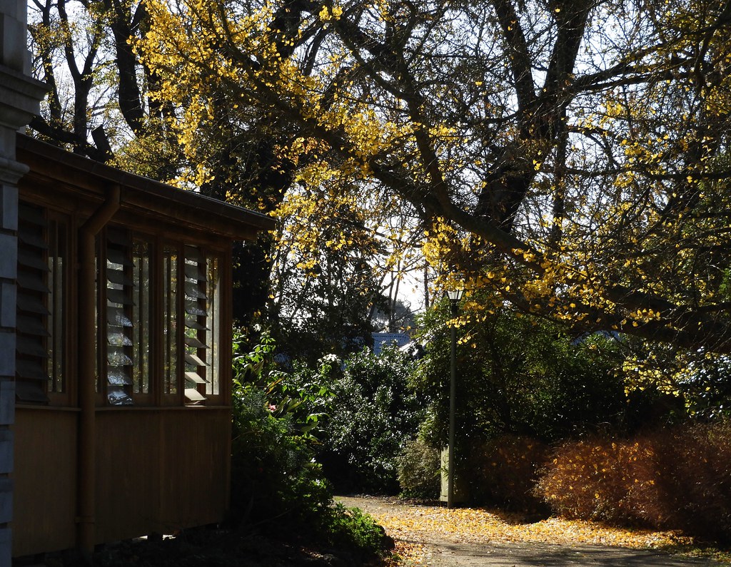 "Coolart" June 2020 "Coolart", Somerville June 2020 Lesley A Butler