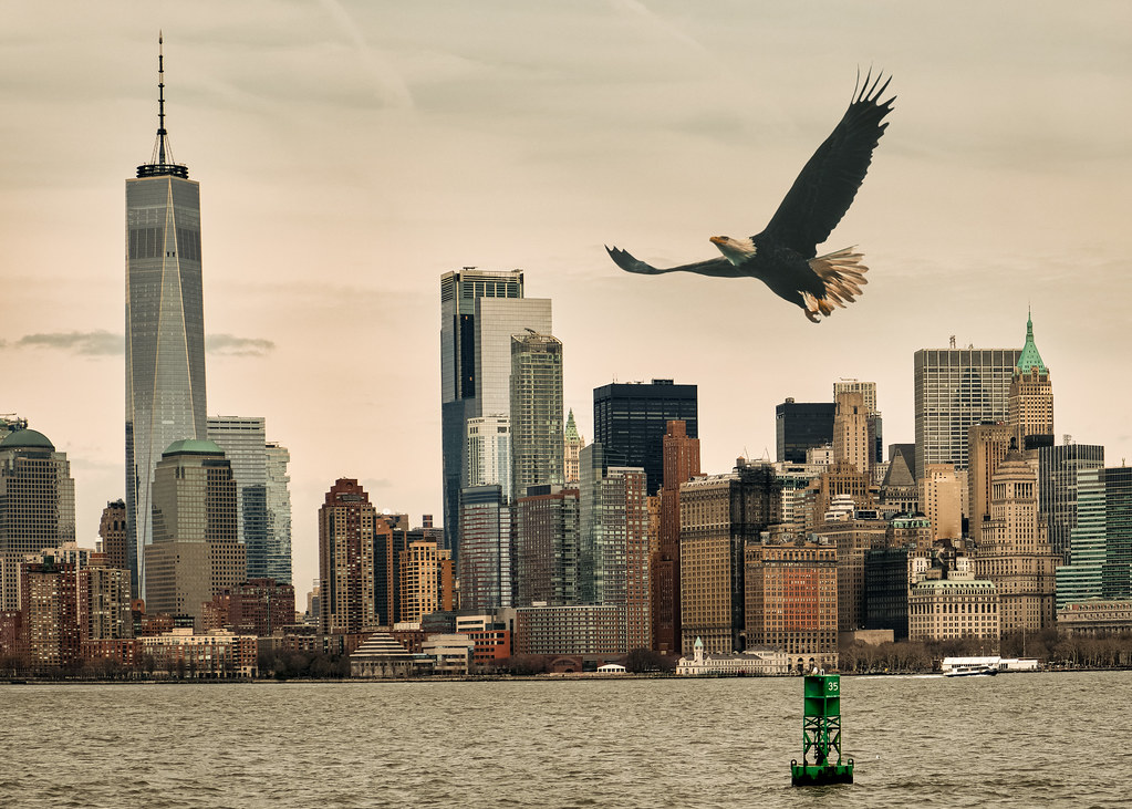 American Eagle, New York City, USA Lower Manhattan, New Yo… Flickr