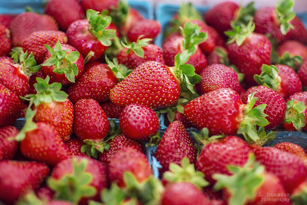 Strawberries from Lester Farms Lebanon, Tennessee Flickr