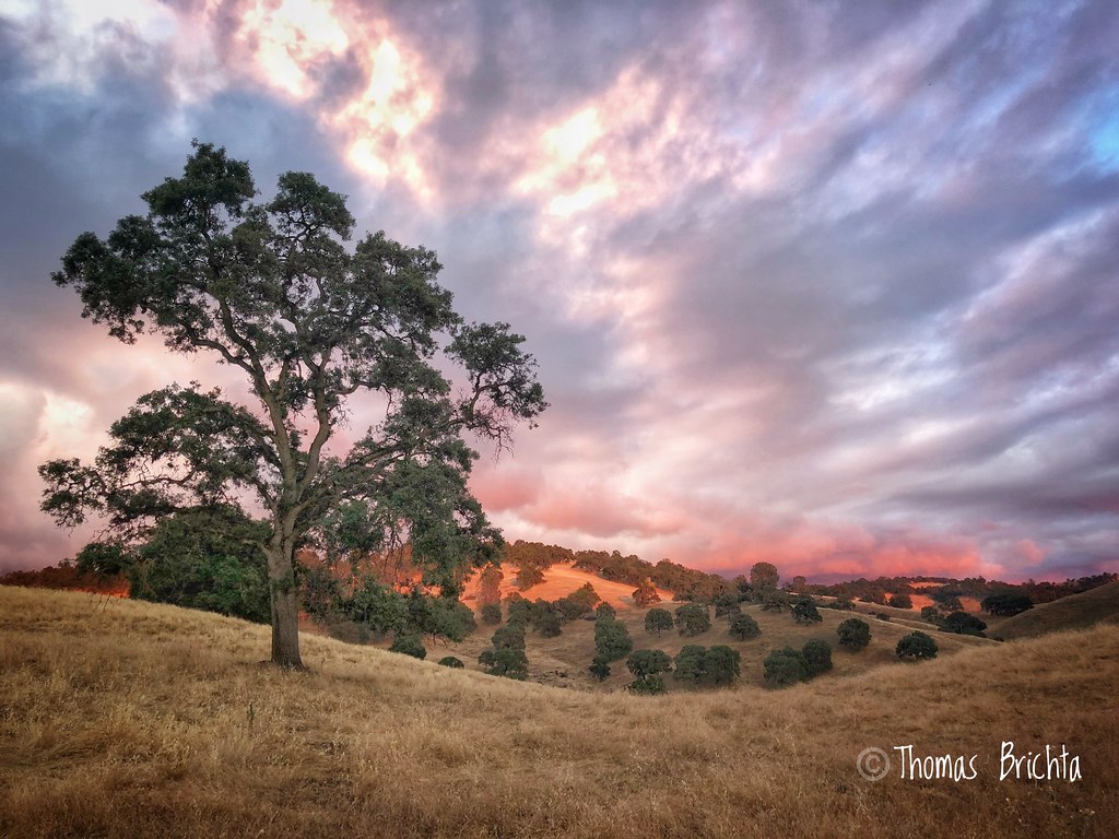 CA, Ione, CA, USA Sunrise Sunset Times