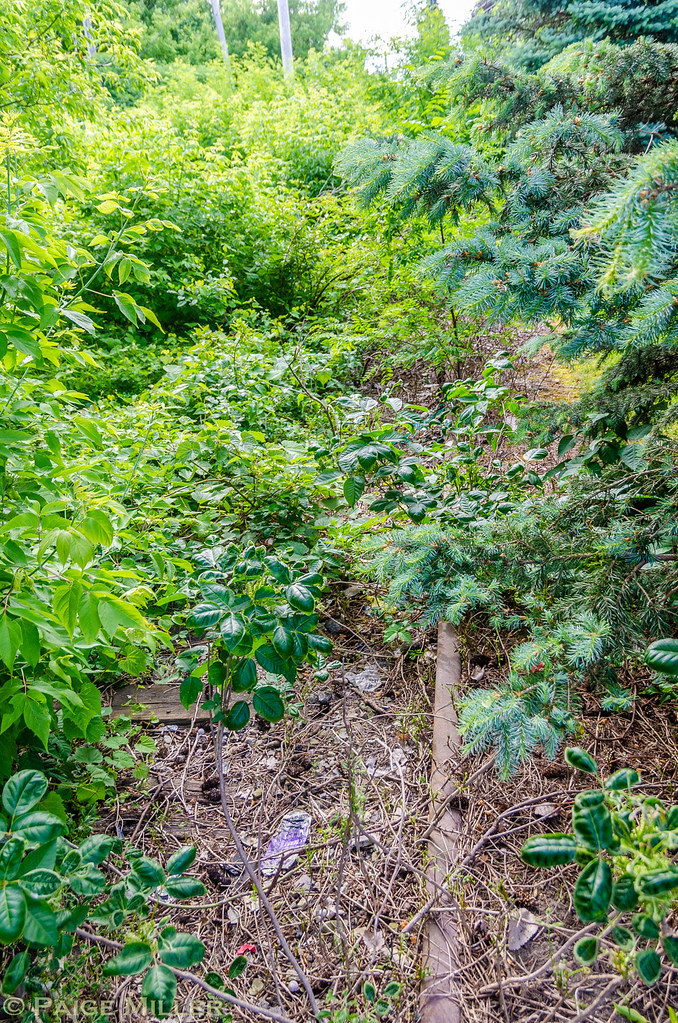 North Tonawanda, NY Tonawanda Island RR rails in the groun… Flickr