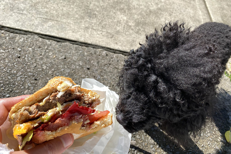 Paul’s Famous Hamburgers, Sylvania Snot Block & Roll