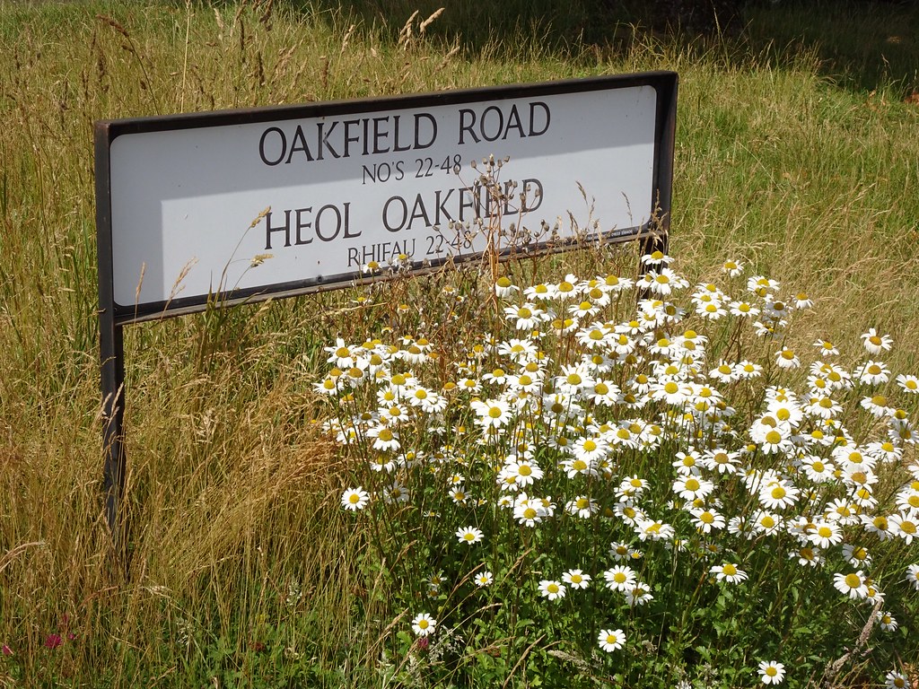 Oakfield Road, Cwmbran 14 June 2020 Another example of con… Flickr