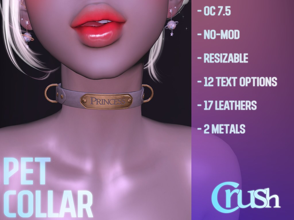 Pet Collar Marketplace Flickr