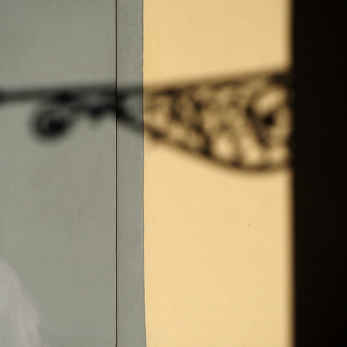 Il sogno è l'infinita ombra del vero Luca Pettini Flickr