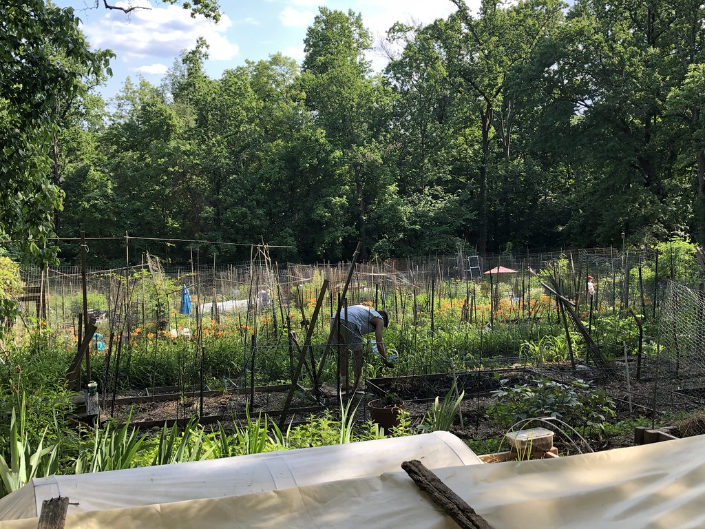 Victory garden, Whitehaven Parkway, Rock Creek Park, Washi… Flickr