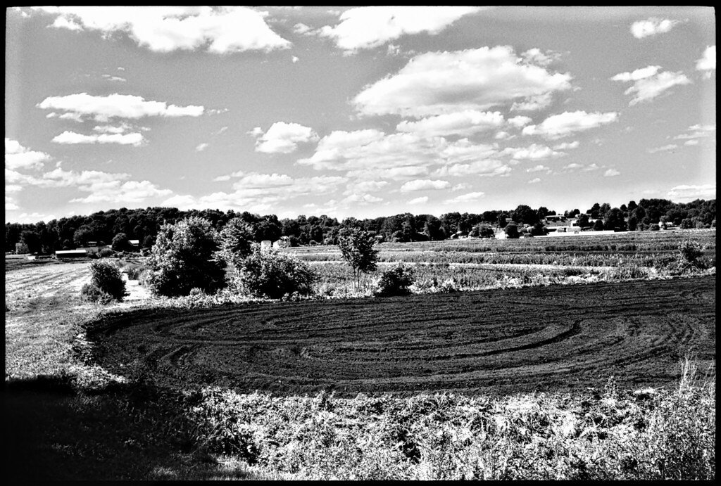 greycourt, ny 2020 Leica M4 Summaron 35/3.5 Arista EDU Ult… Flickr