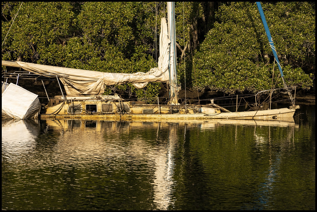 Cabbage Tree Creek needs to be bailed out1= Cabbage Tree … Flickr