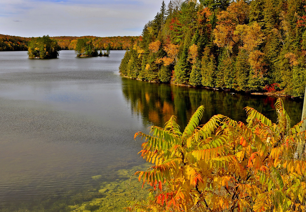 Lake L'Amable, Kawarthas, Ontario, Canada Klaus Lang Flickr