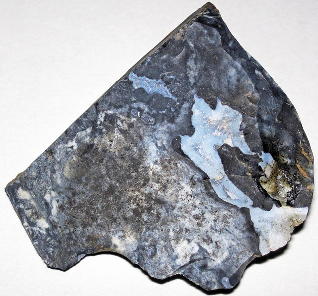 Nellie Blue Flint (Upper Mercer Flint, Middle Pennsylvanian; Nellie