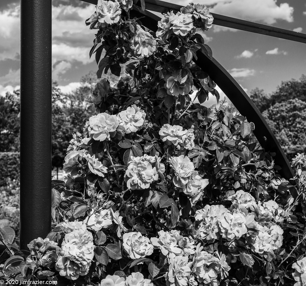 Rose Garden Trellis a photo on Flickriver