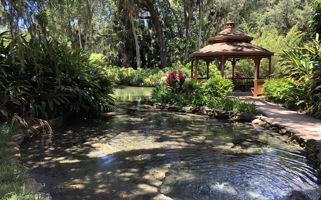 IMG_4131 Washington Oaks garden pond Gary Leavens Flickr