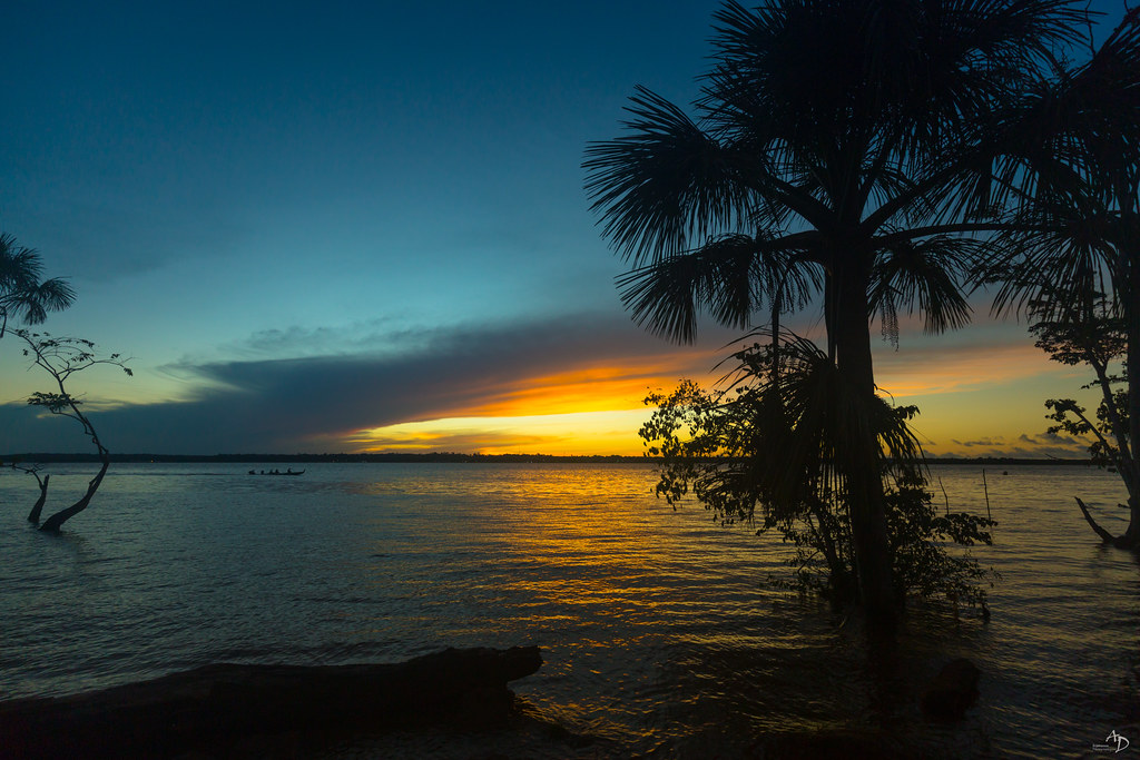 Amazonie jolie Coucher de soleil sur les bords du grand