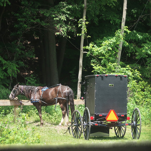 Amish buggy parked in Penn Yan, New York Penn Yan is the c… Flickr