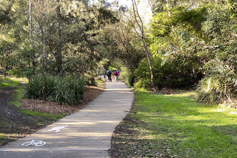 Flat Rock Creek walk