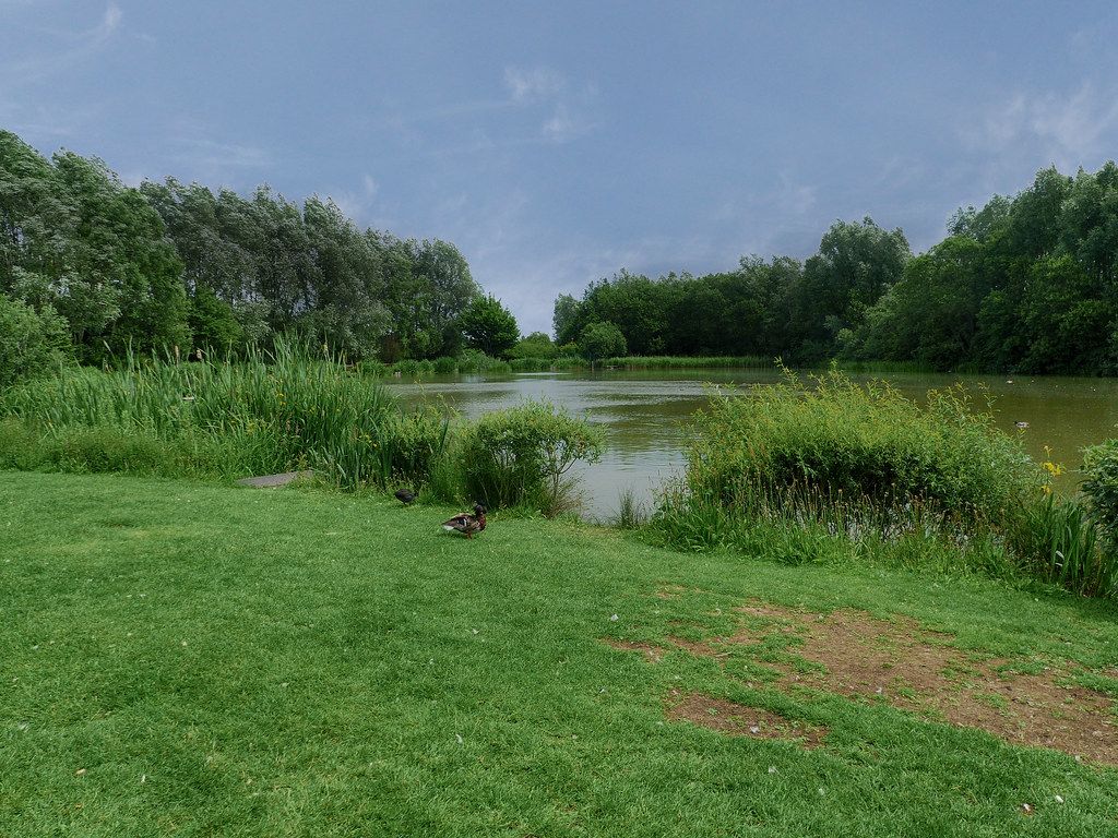 20200622ymd Wlk frm Teversal CG_0089 Fishing PondBrierly … Flickr
