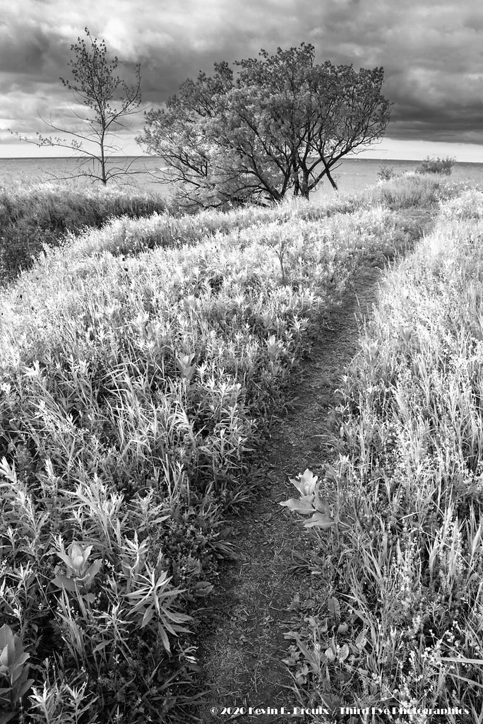 FB_IMG_1593022425887 Kevin Proulx Flickr