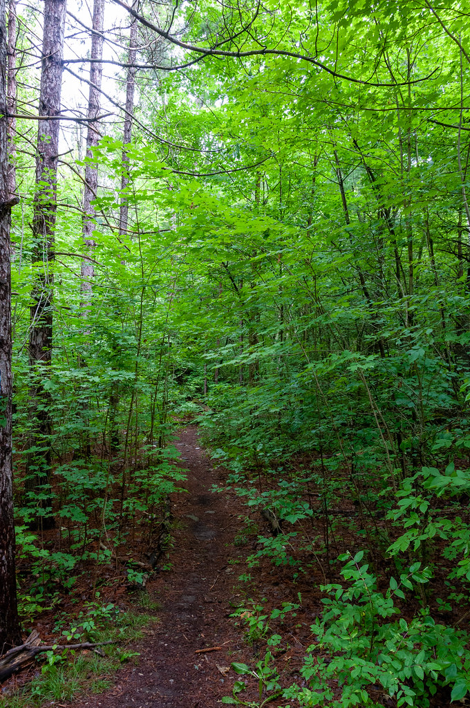 HiltonFallsOntario110 Hilton Falls, Milton, Ontario Flickr