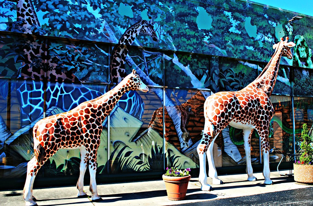 Safari Land, Villa Park, Illinois Cragin Spring Flickr