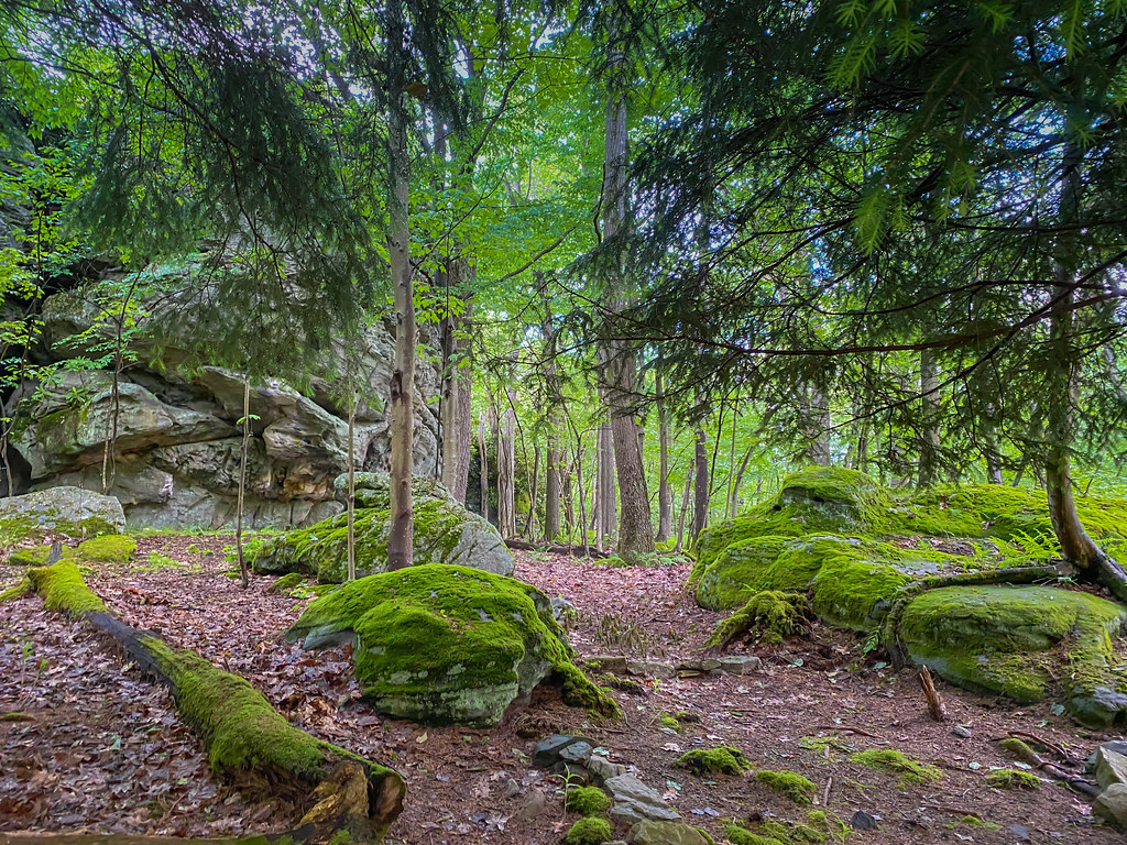Hiking trail at Alpine Lake Terra Alta WV Hiking trail a… Flickr