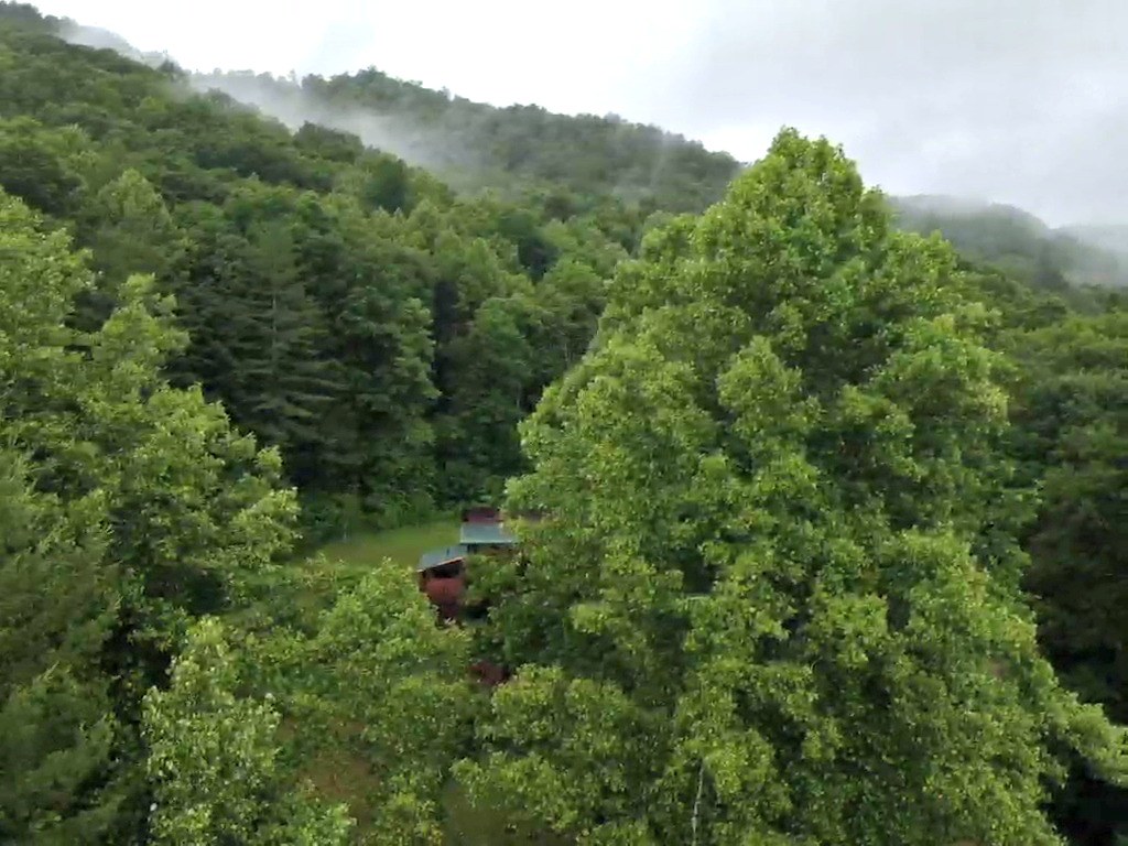 Copperhead Road Flickr