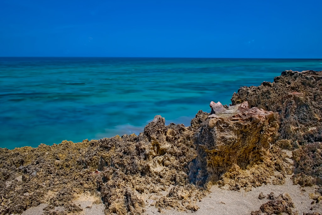 The St. Lucie Rocks, Anastasia limestone, Ross Witham Beac… Flickr